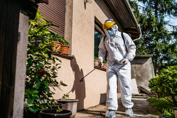Best Flea Control Services  in Calumet Park, IL