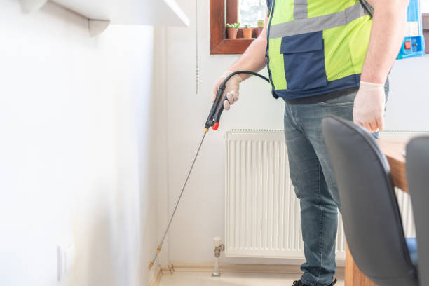 Best Affordable Pest Control Services  in Calumet Park, IL