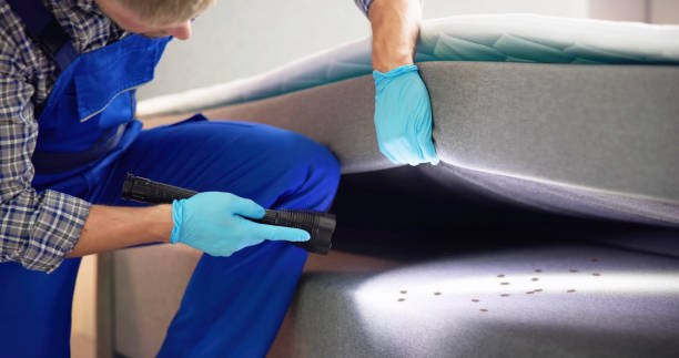 Best Residential Pest Control  in Calumet Park, IL
