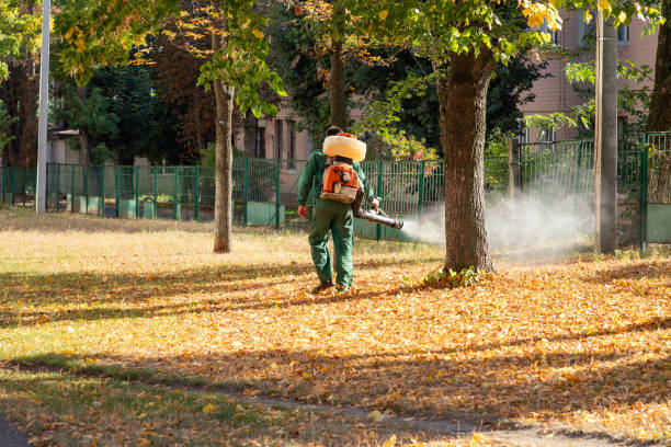 Best Affordable Pest Control Services  in Calumet Park, IL