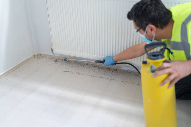 Best Best Pest Control Companies  in Calumet Park, IL