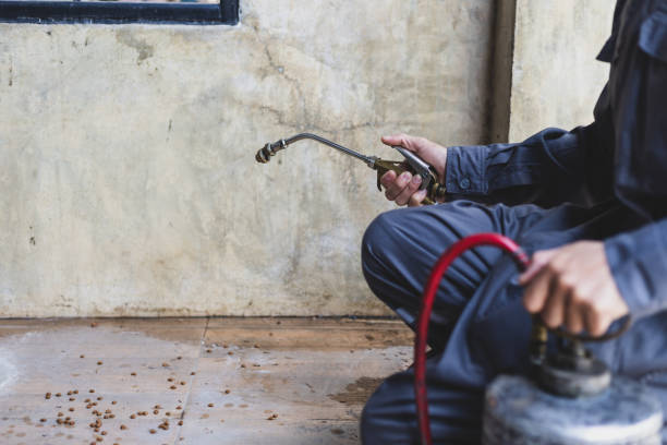 Best Pest Removal Services  in Calumet Park, IL