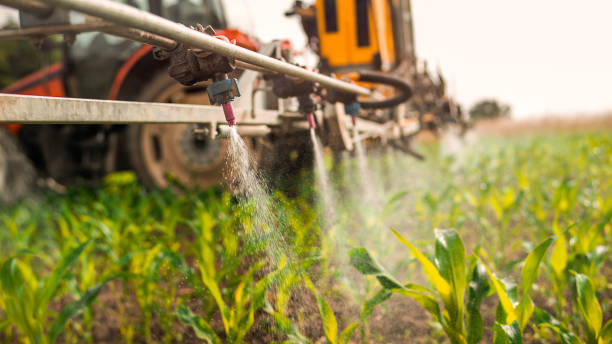 Best Pest Inspection Near Me  in Calumet Park, IL